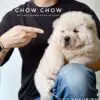 Chow Chow Puppy for Sale in Puchong Kuala Lumpur KL Malaysia