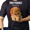 buy tiny poodle sri petaling pet shop