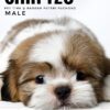 shih tzu puppies for sale