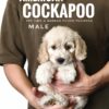 Pet shop sell american cockapoo