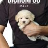 Bichonpoo puppy for Sale in Malaysia